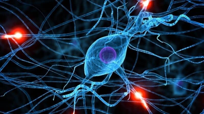 дом интернат для парализованных людей дом интернат для парализованных людей